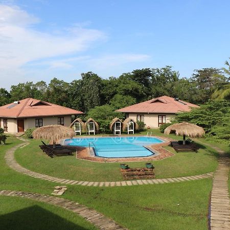 Hibiscus Garden Hotel Tissamaharama Exteriér fotografie
