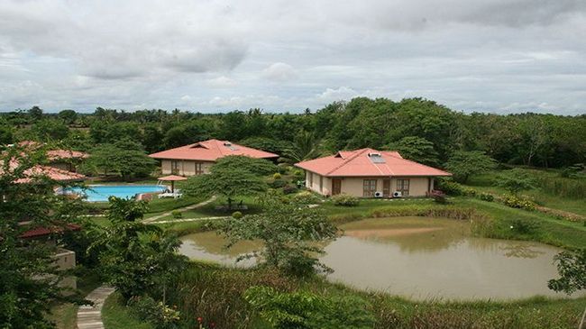 Hibiscus Garden Hotel Tissamaharama Exteriér fotografie