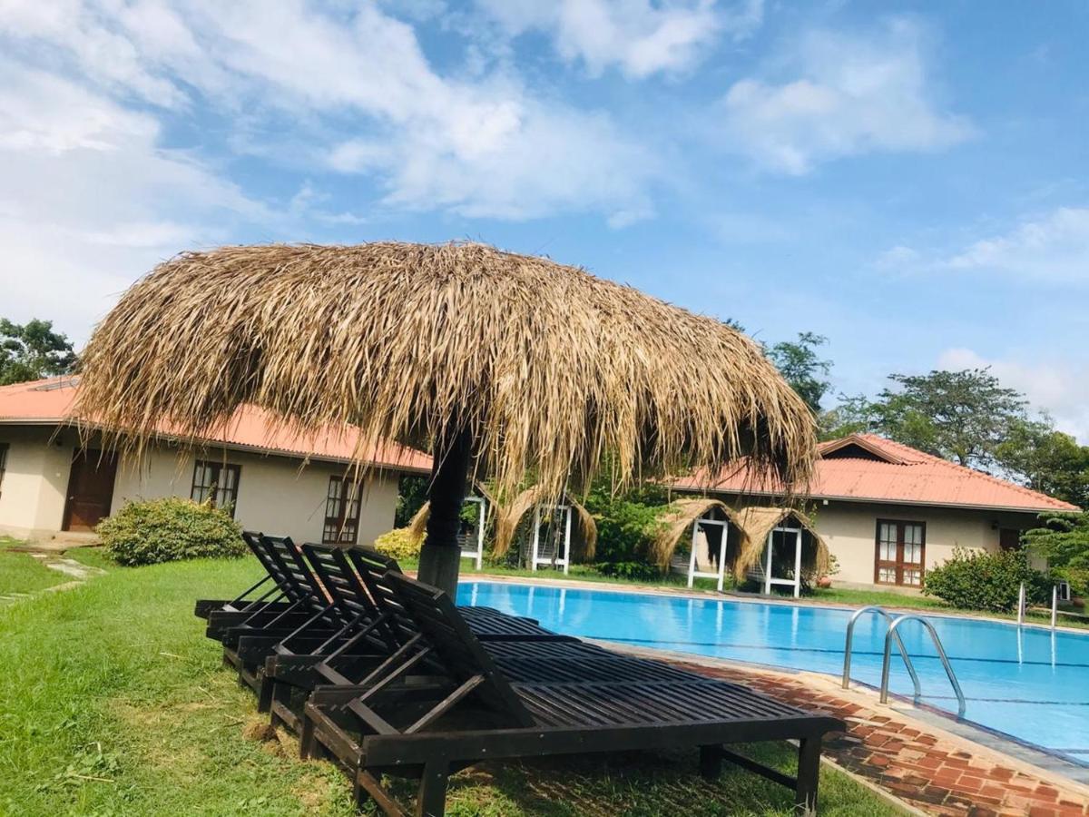Hibiscus Garden Hotel Tissamaharama Exteriér fotografie