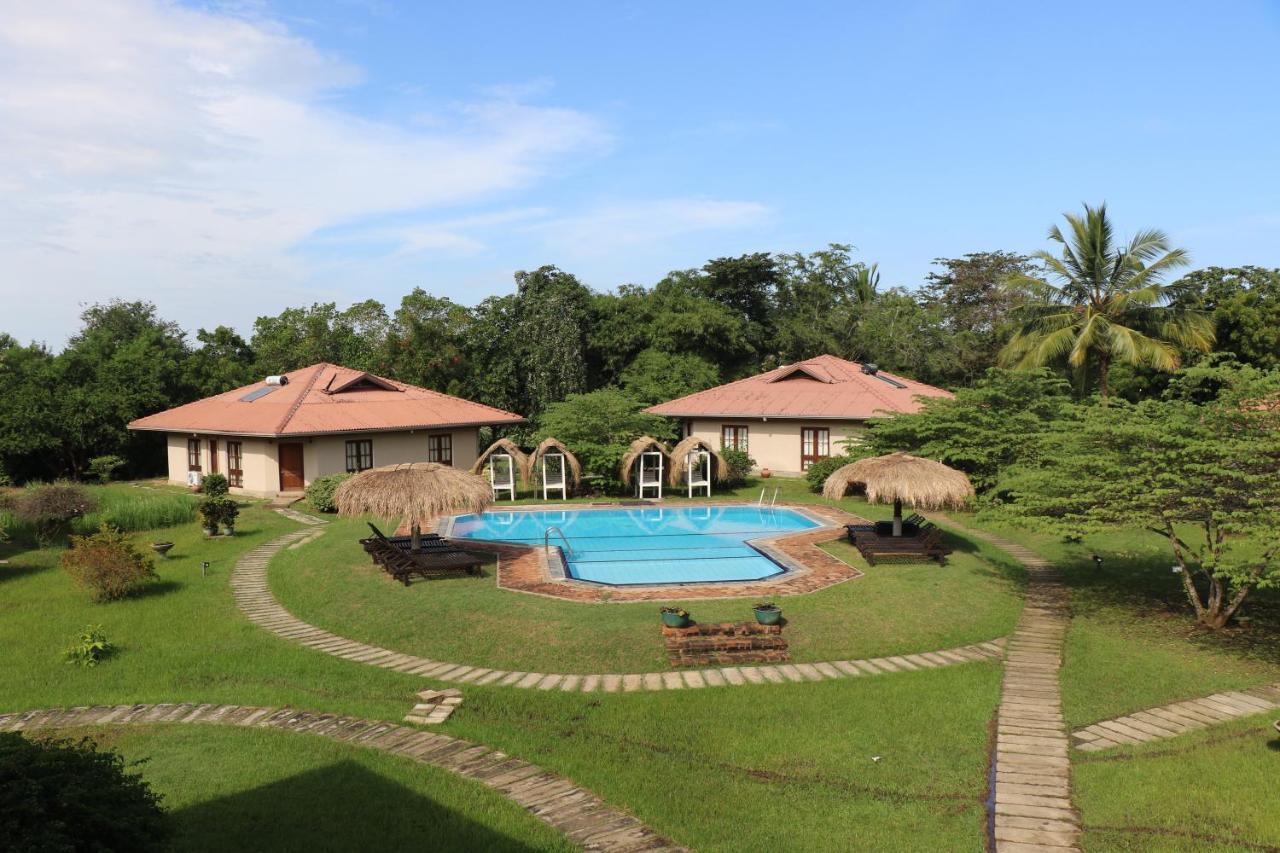 Hibiscus Garden Hotel Tissamaharama Exteriér fotografie
