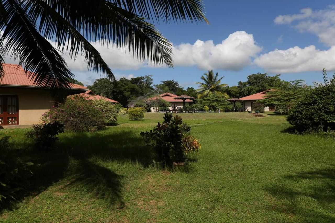 Hibiscus Garden Hotel Tissamaharama Exteriér fotografie
